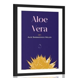 Plakát s paspartou a nápisem Aloe Vera
