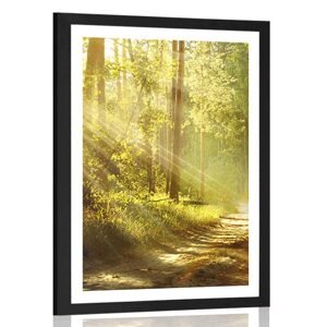 Plakát s paspartou sluneční paprsky v lese