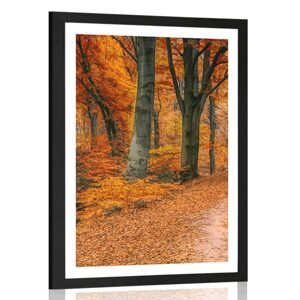 Plakát s paspartou les v podzimním období