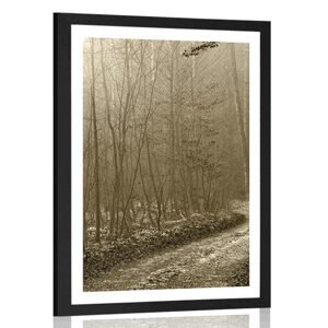 Plakát s paspartou sépiová cestička do lesa