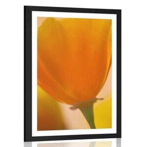 Plakát s paspartou kytice květin v detailním záběru