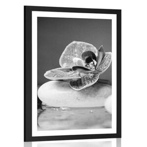 Plakát s paspartou orchidej a Zen kameny v černobílém provedení