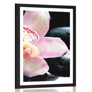 Plakát s paspartou exotická orchidej