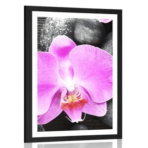 Plakát s paspartou nádherná orchidej a kameny