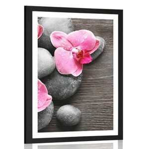 Plakát s paspartou elegantní kompozice s květinami orchideje