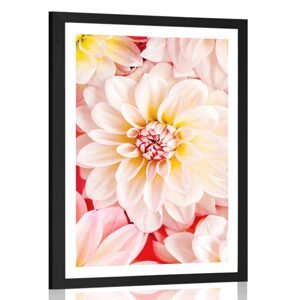 Plakát s paspartou pastelové květiny dálie