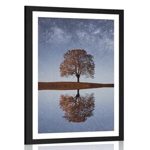 Plakát s paspartou hvězdná obloha nad osamělým stromem