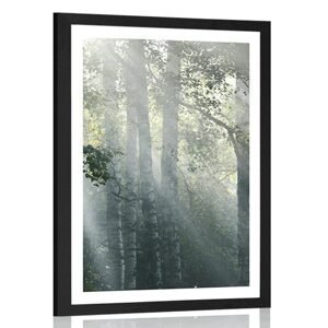 Plakát s paspartou sluneční paprsky v mlhavém lese