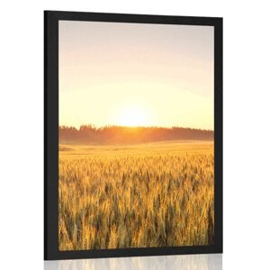 Plakát západ slunce nad polem