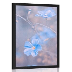 Plakát modré květiny na vintage pozadí