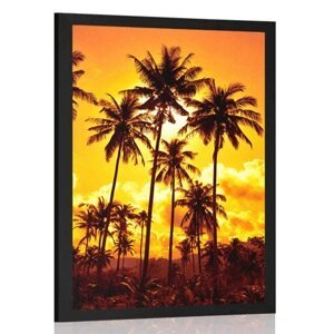 Plakát kokosové palmy na pláži