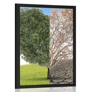Plakát strom ve dvou podobách