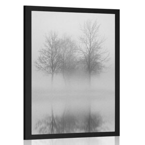 Plakát stromy v mlze v černobílém provedení