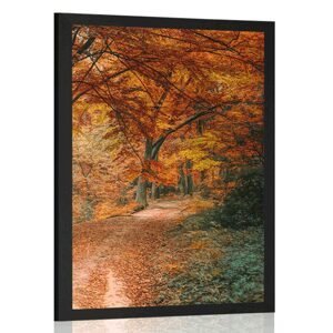 Plakát krásný les v podzimním období