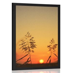 Plakát stébla trávy při západu slunce