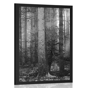 Plakát tajemství lesa v černobílém provedení