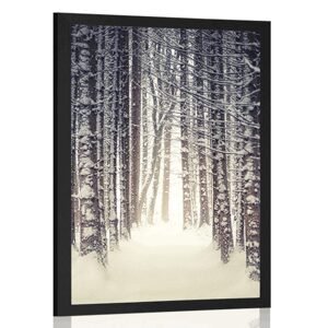 Plakát les zahalený sněhem