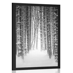 Plakát les zahalený sněhem v černobílém provedení