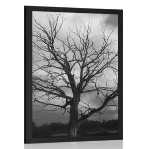 Plakát černobílý strom na louce