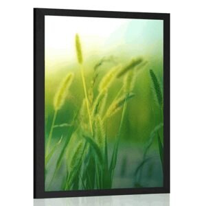 Plakát stébla trávy