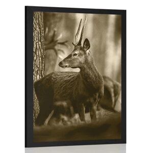 Plakát jelen v borovém lese v sépiovém provedení