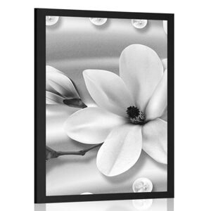 Plakát luxusní magnolie s perlami v černobílém provedení