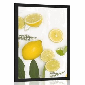 Plakát směs citrusových plodů