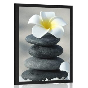 Plakát harmonické kameny a květ plumerie