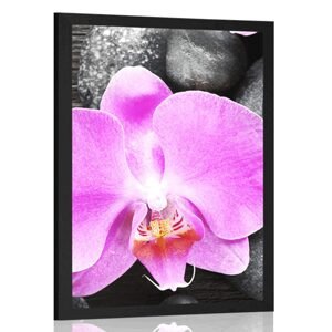 Plakát nádherná orchidej a kameny