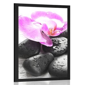 Plakát krásná souhra kamenů a orchideje