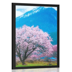 Plakát kouzelný japonský strom