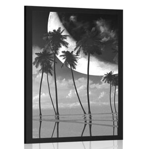 Plakát západ slunce nad tropickými palmami v černobílém provedení