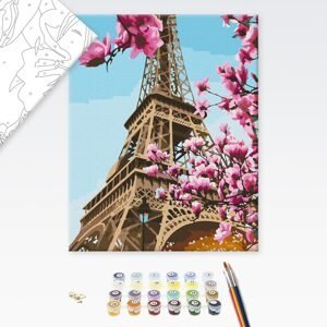 Malování podle čísel sakura v Paříži
