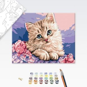 Malování podle čísel kočka s modrými očima
