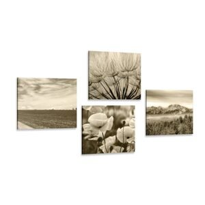 Set obrazů sépiová krajina s květinami