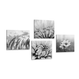 Set obrazů černobílá louka s květinami