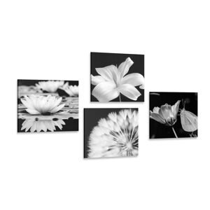 Set obrazů květiny s motýlem v černobílém