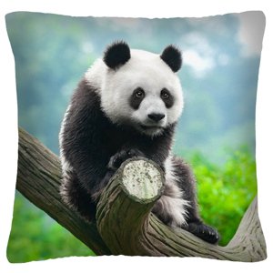 Polštář ANIMAL 29 - PANDA Mybesthome 40x40 cm Varianta: Povlak na polštář s antialergickou prošívanou výplní, 40x40 cm