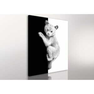Obraz na plátně TEDDY BEAR různé rozměry Ludesign ludesign obrazy: 100x80 cm