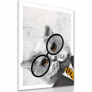 Obraz na plátně HIPSTER CAT III. různé rozměry Ludesign ludesign obrazy: 70x50 cm
