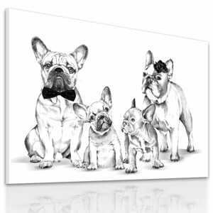 Obraz na plátně BULDOG FAMILY IN BW - B různé rozměry Ludesign ludesign obrazy: 100x70 cm