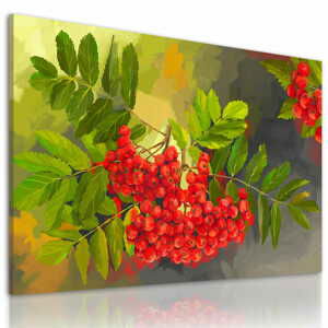 Obraz na plátně BERRY I. různé rozměry Ludesign ludesign obrazy: 80x60 cm