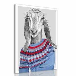 Obraz na plátně Mrs. GOAT IN SWEATER různé rozměry Ludesign ludesign obrazy: 100x70 cm