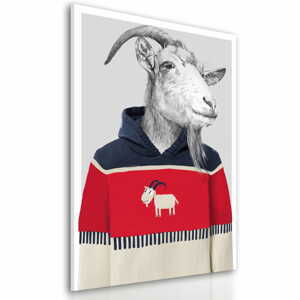 Obraz na plátně GOAT IN SWEATER I. různé rozměry Ludesign ludesign obrazy: 100x70 cm