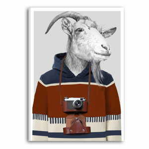 Obraz na plátně GOAT IN SWEATER II. různé rozměry Ludesign ludesign obrazy: 80x60 cm