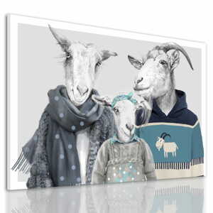 Obraz na plátně GOAT FAMILY IN SWEATERS - motiv D různé rozměry Ludesign ludesign obrazy: 70x50 cm