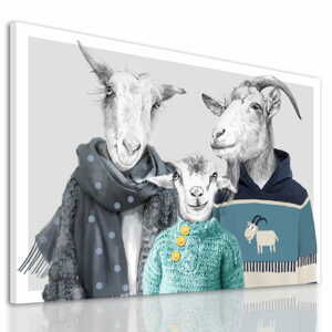 Obraz na plátně GOAT FAMILY IN SWEATERS - motiv A různé rozměry Ludesign ludesign obrazy: 100x70 cm