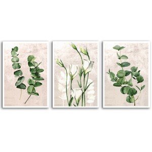 Obraz na plátně PLANTS II. set 3 kusy různé rozměry Ludesign ludesign obrazy: 3x 50x70 cm