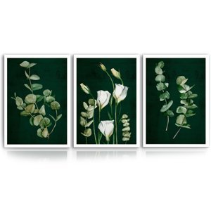 Obraz na plátně PLANTS I. set 3 kusy různé rozměry Ludesign ludesign obrazy: 3x 40x60 cm