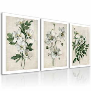 Obraz na plátně WHITE FLOWERS set 3 kusy různé rozměry Ludesign ludesign obrazy: 3x 50x70 cm